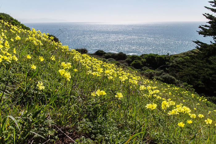 Marin Headlands - Golden Gate National Recreation Area