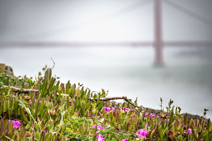 Marin Headlands - Golden Gate National Recreation Area Marin Headlands - Golden Gate National Recreation Area