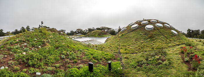 Golden Gate Park