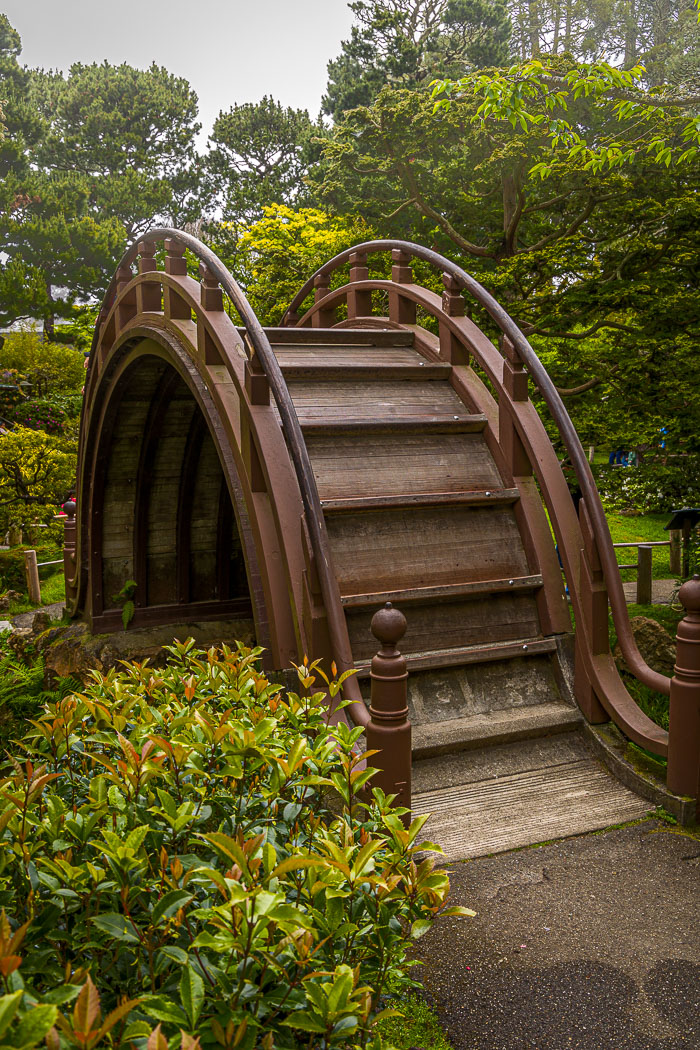 Japanese Tea Garden - Golden Gate Park
