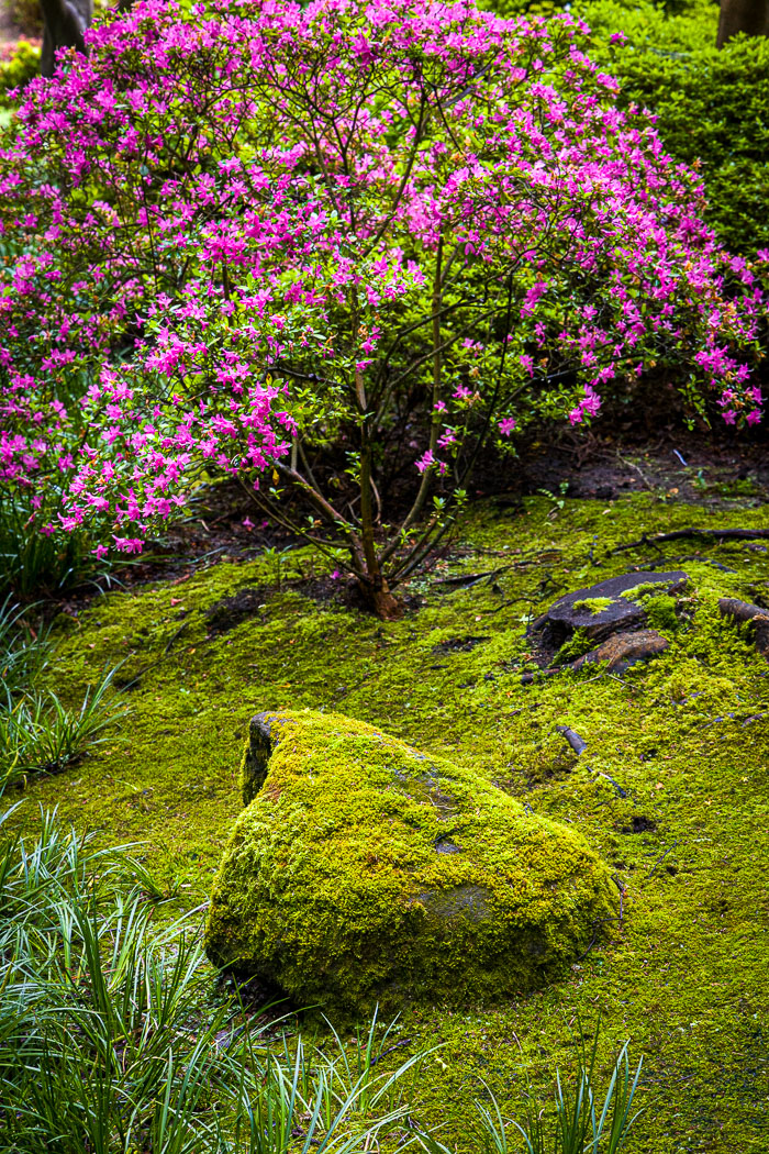Japanese Tea Garden - Golden Gate Park Japanese Tea Garden - Golden Gate Park