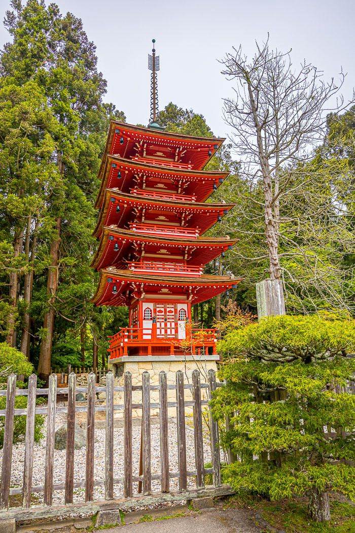 Japanese Tea Garden - Golden Gate Park