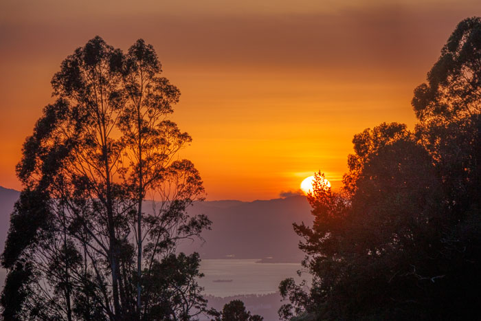 San Francisco After Dark