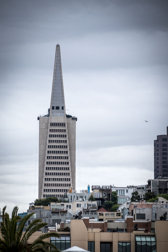 San Francisco Waterfront and Downtown