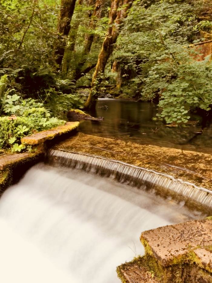 Belnap Springs Resort