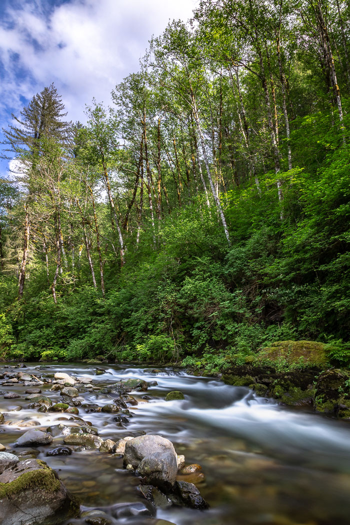 Cedar Creek Grist Mill