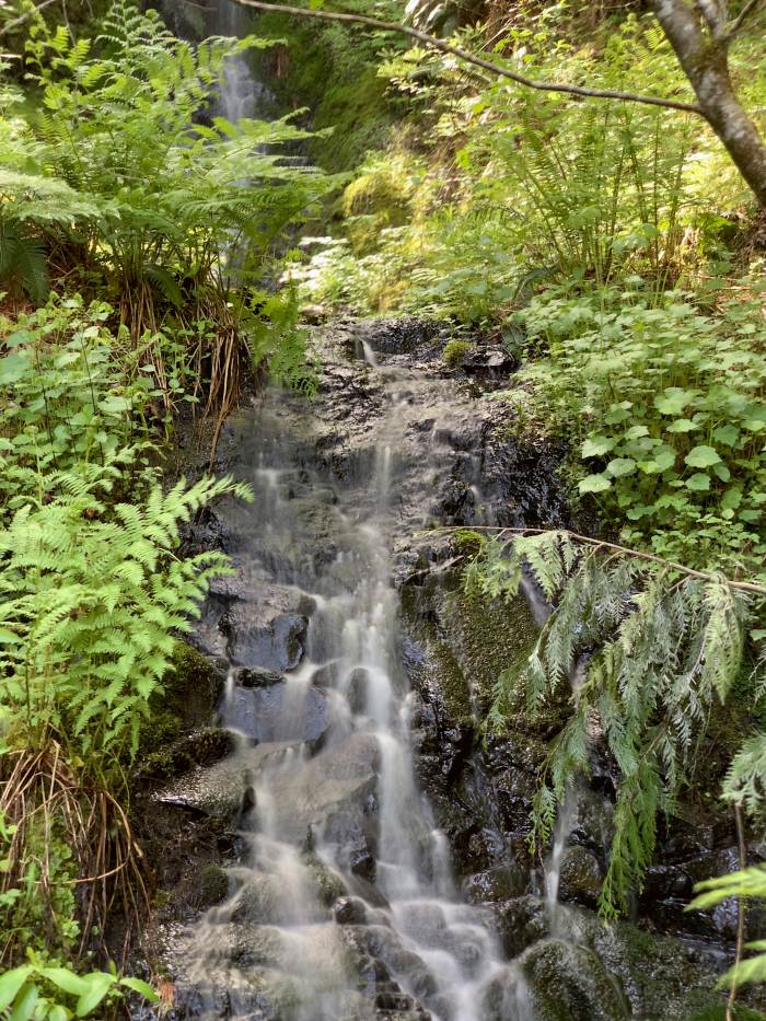 Estacada River Trail Estacada River Trail