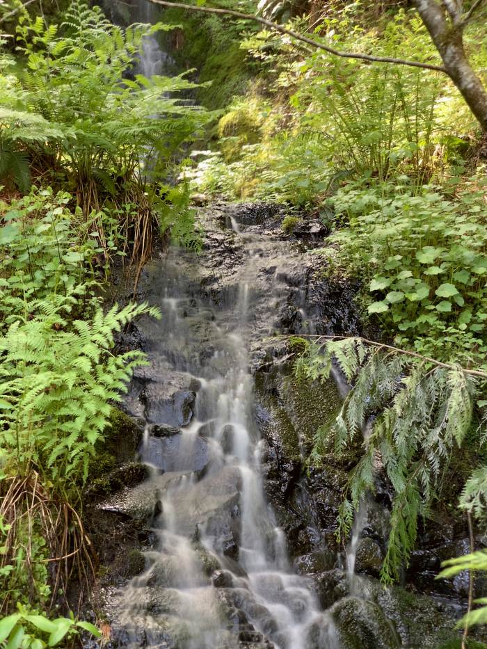 Estacada River Trail