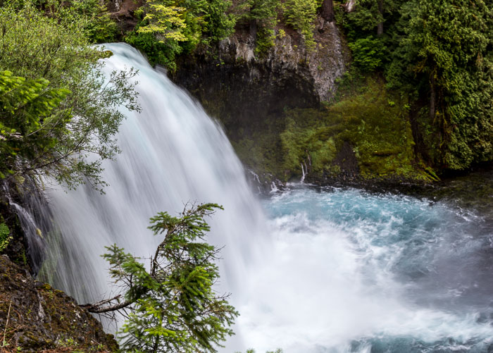 Mckenzie River Valley