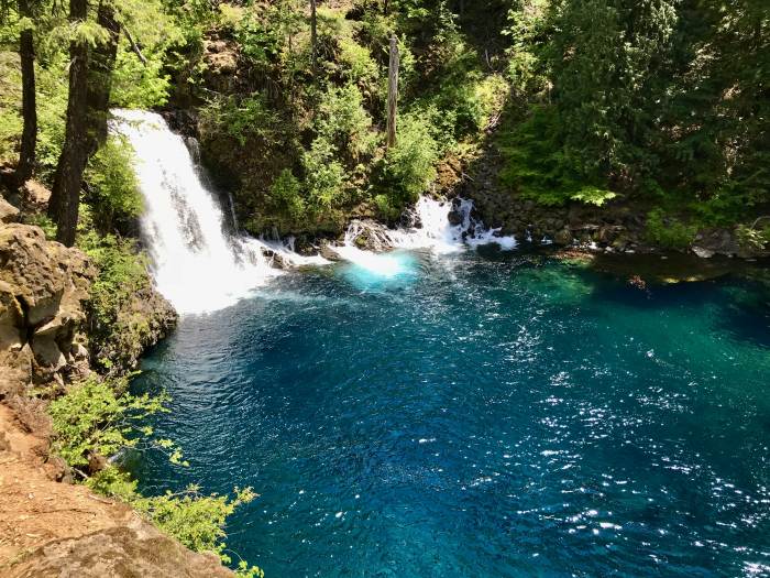 Mckenzie River Valley