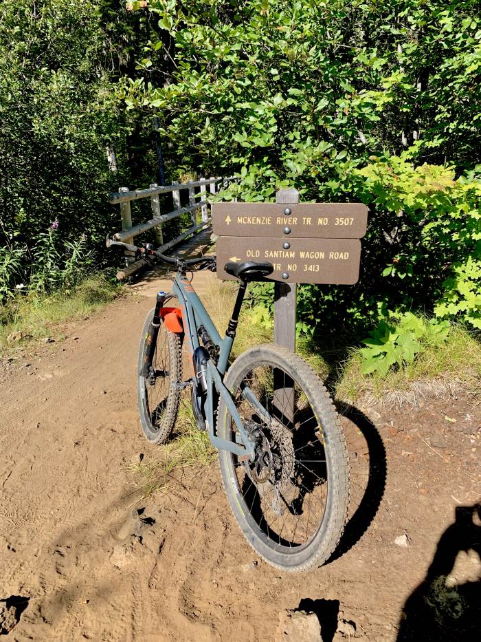 Mckenzie River Valley