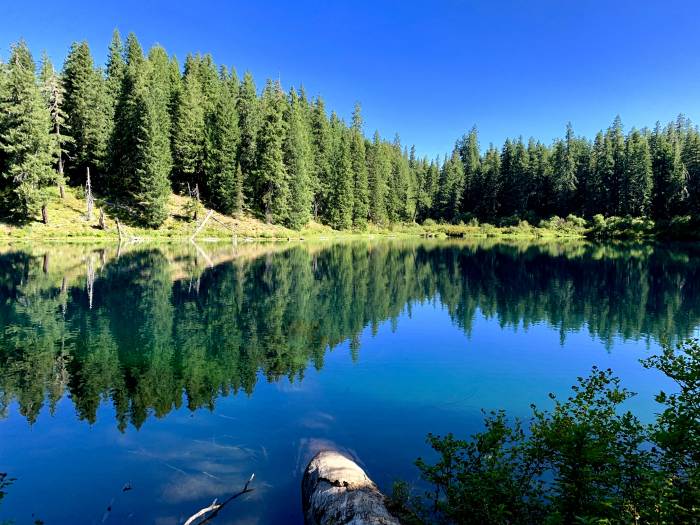 Mckenzie River Valley