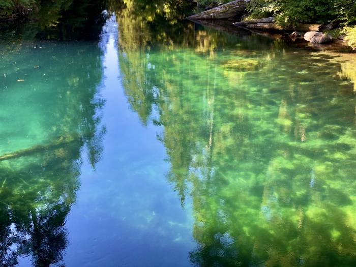 Mckenzie River Valley