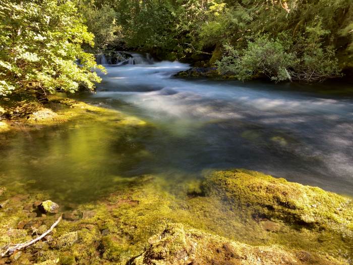 Mckenzie River Valley