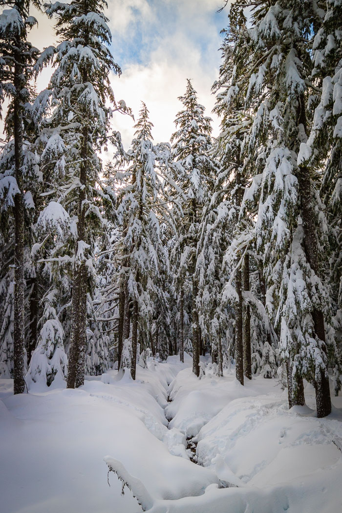 Mt. Hood Winter