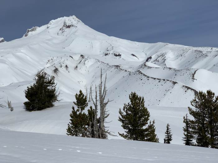 Mt. Hood Winter