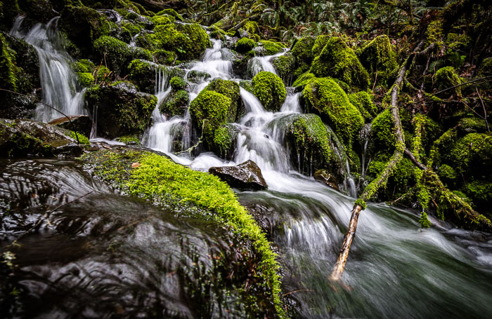 Silver Falls State Park