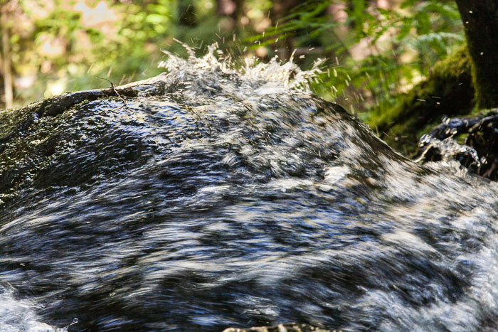 Siouxon Creek Trail