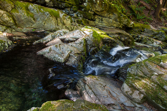 Siouxon Creek Trail