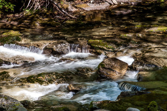 Siouxon Creek Trail