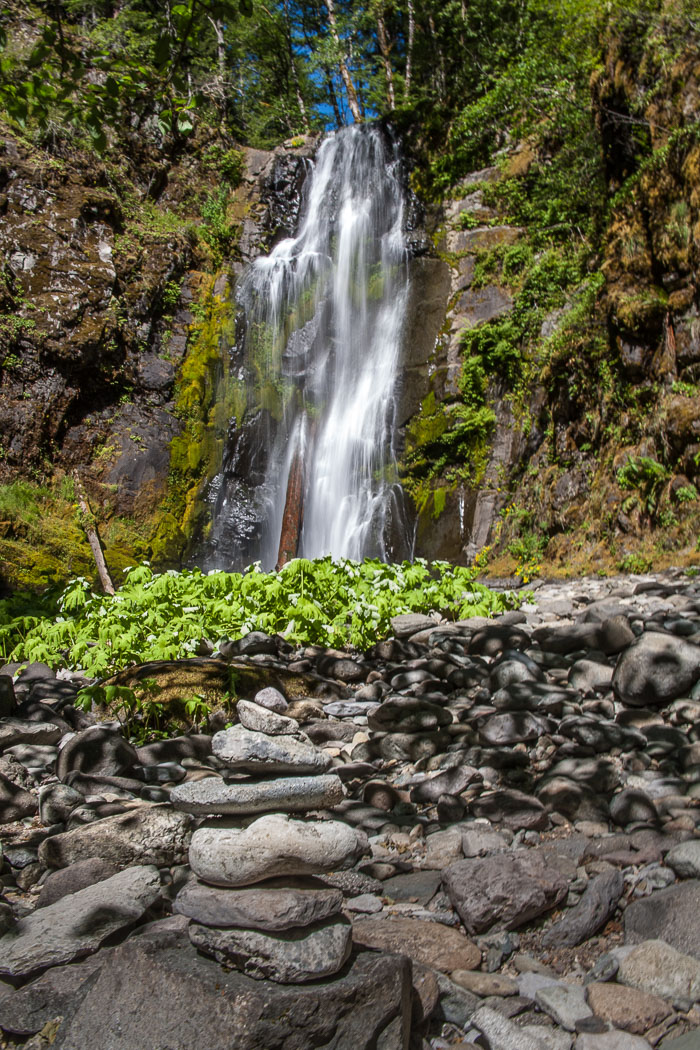 Siouxon Creek Trail