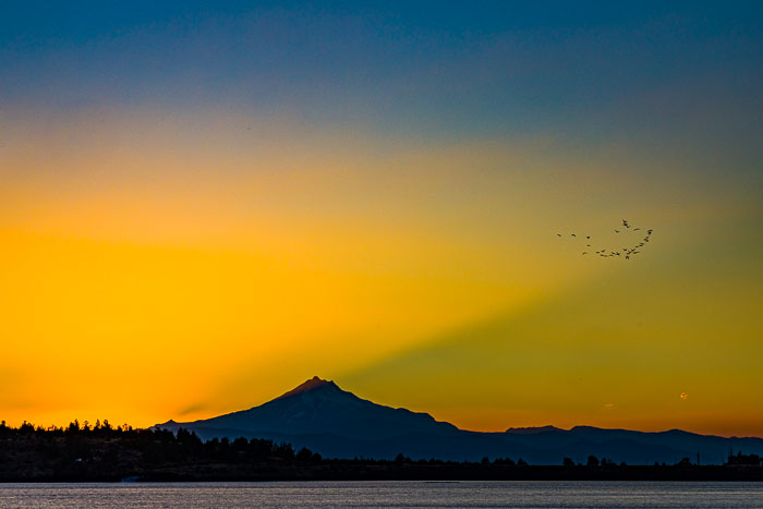 Miscellaneous Photos from no particular areas