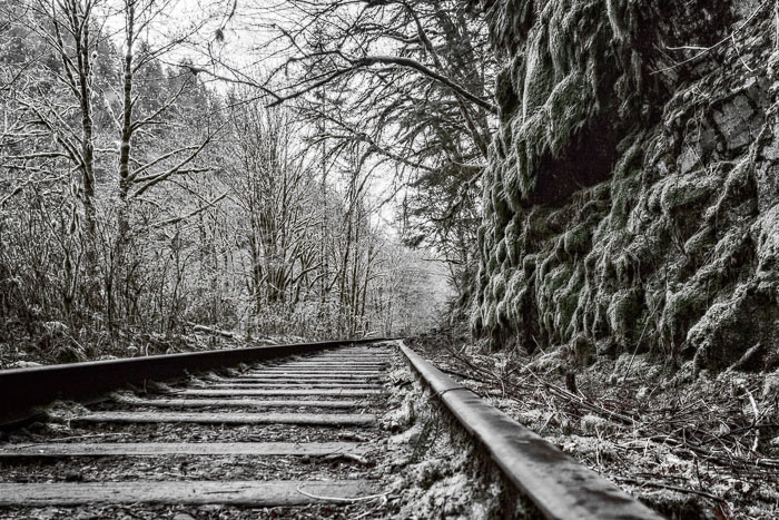 Salmon Berry River Trail
