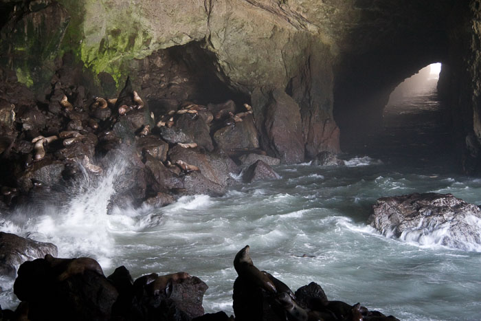 Cape Perpetua