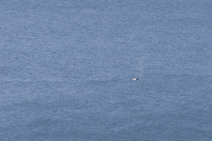 Coos Bay Area Sloughs
