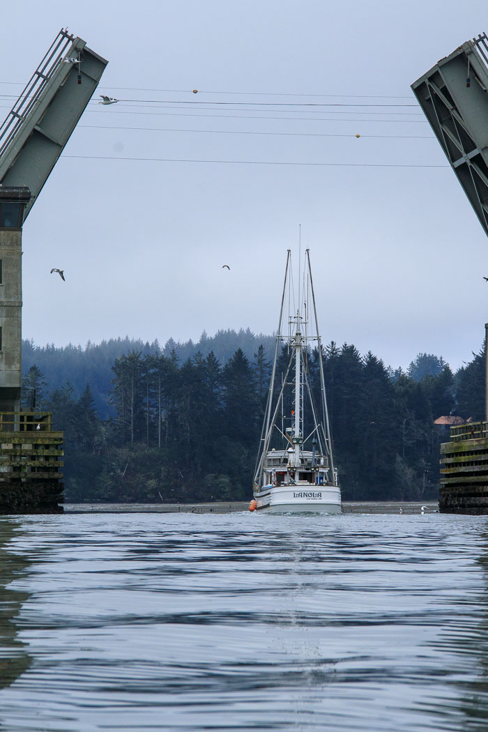 Coos Bay Area Sloughs