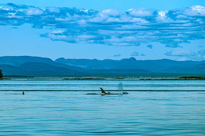 San Juan Islands