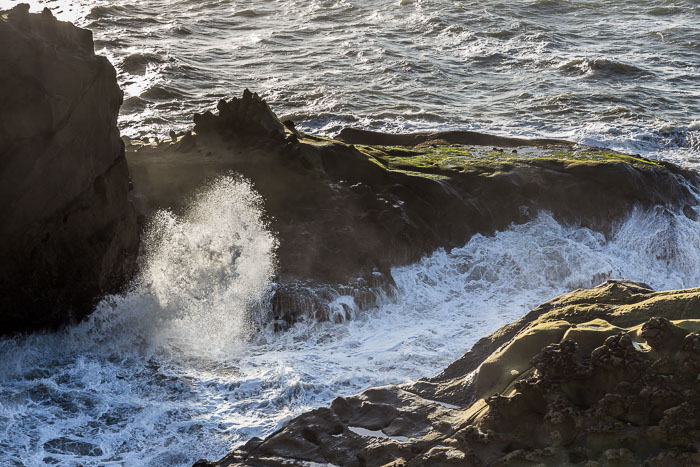Shore Acres and Sunset Bay State Park