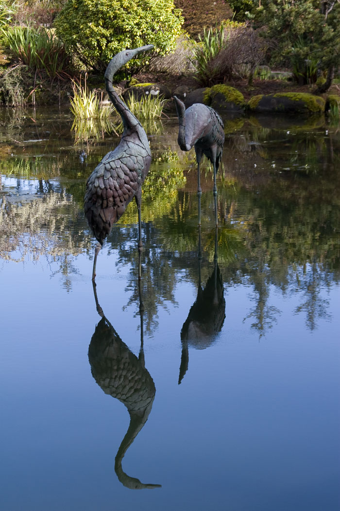 Shore Acres and Sunset Bay State Park
