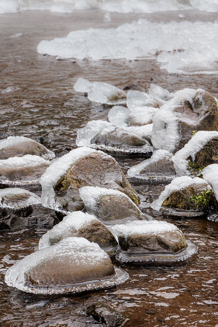 Chasing Ice