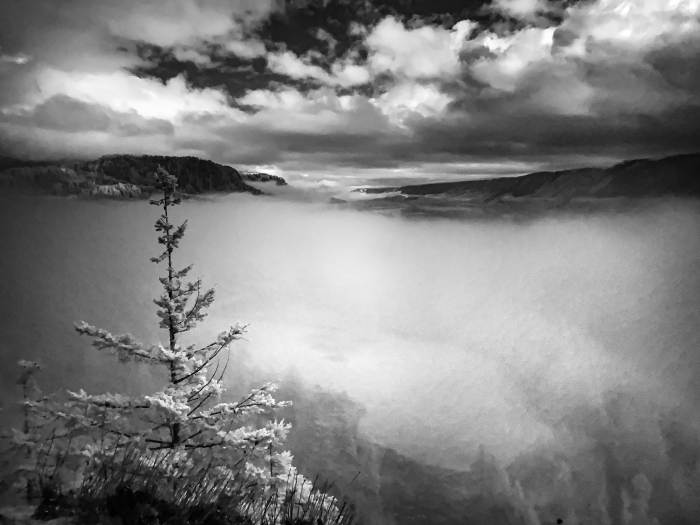 Hamilton Mountain Trail