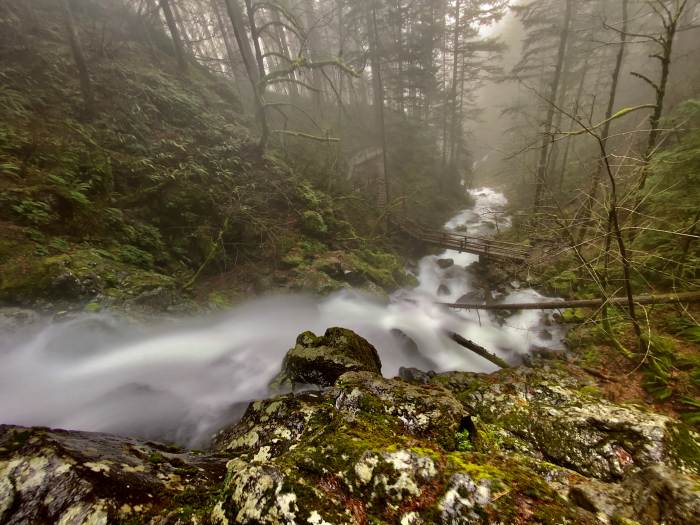 Hamilton Mountain Trail