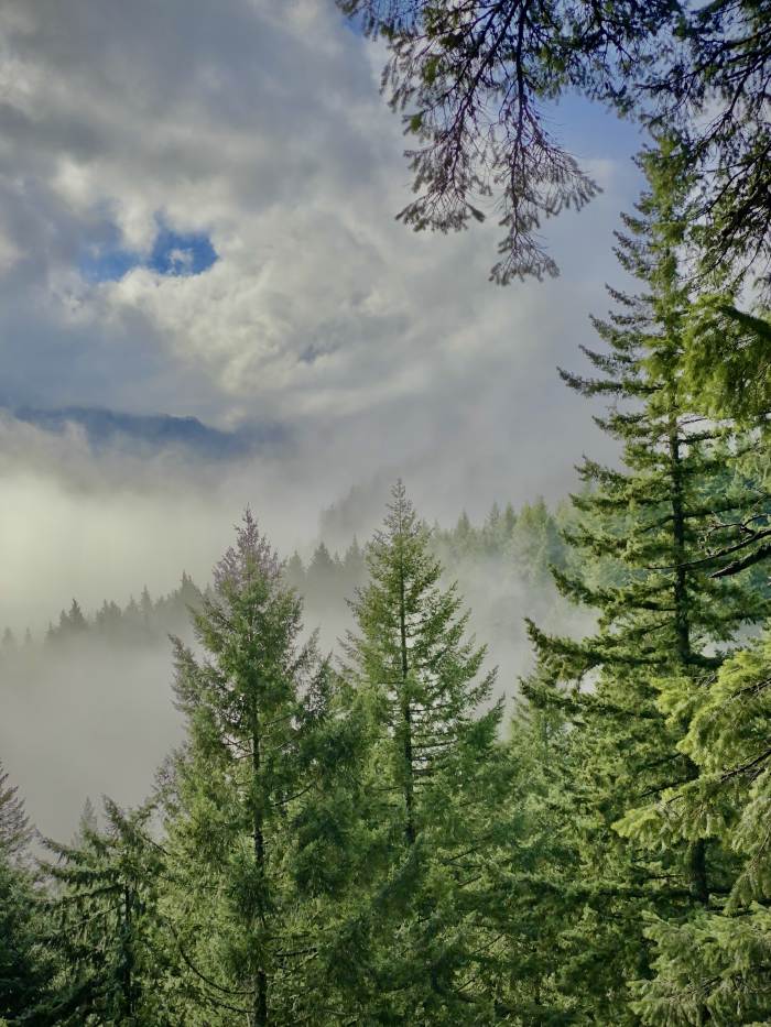 Hamilton Mountain Trail