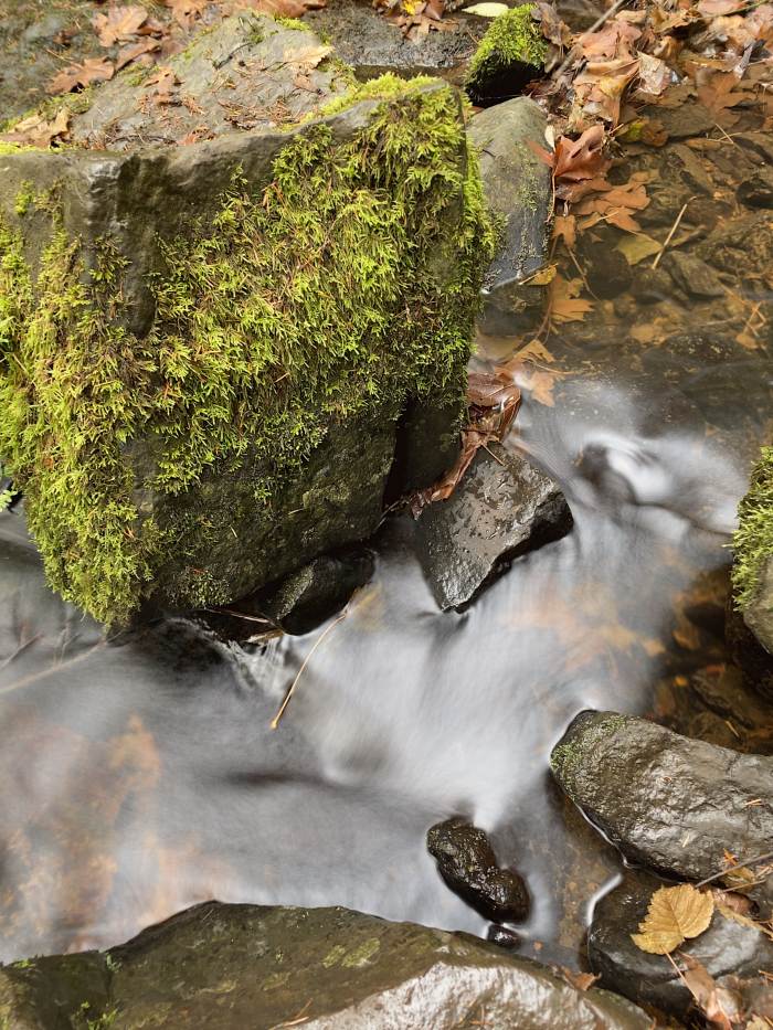 Lacamas Lake Regional Park