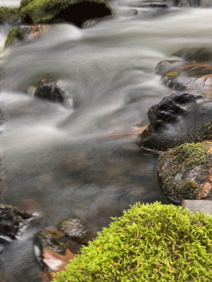 Lacamas Lake Regional Park