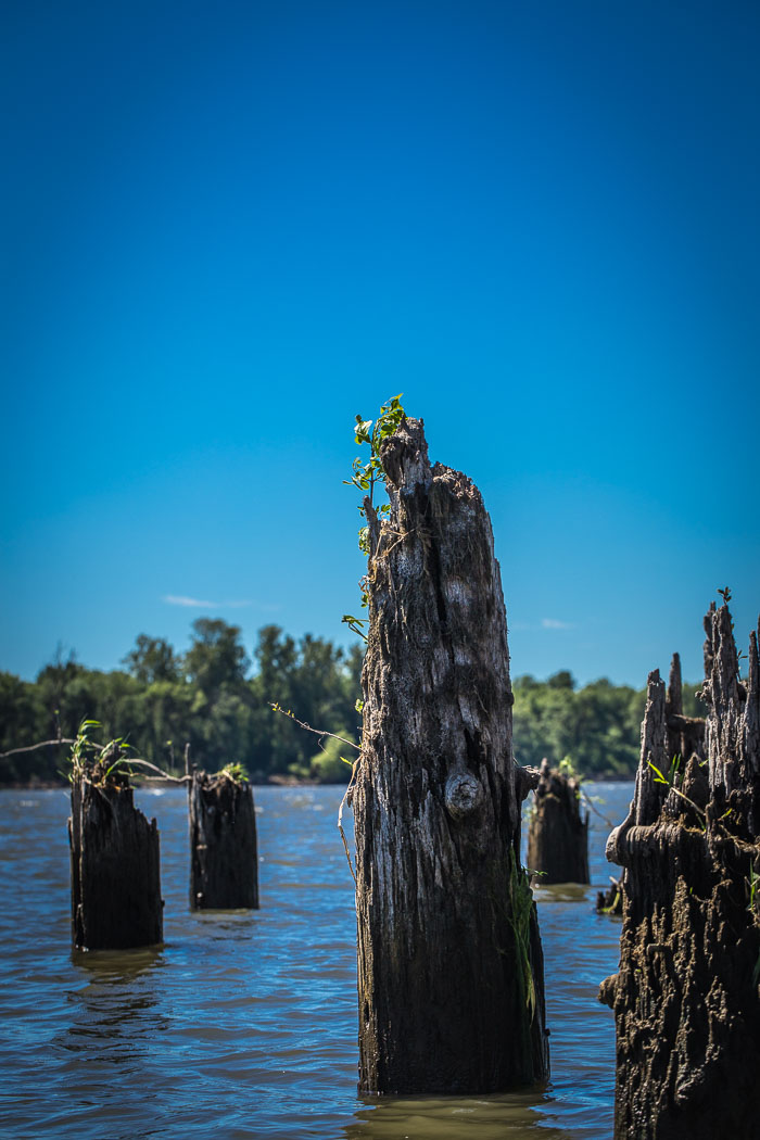 Scapoose Bay