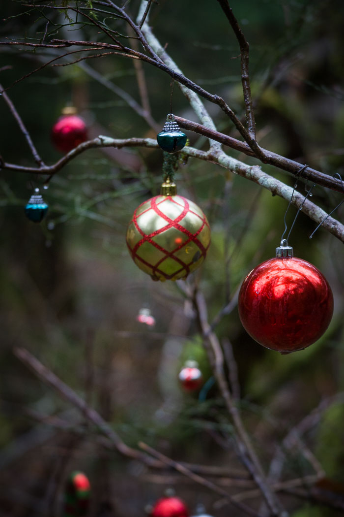 Larch Mountain trail and Christmas Trail