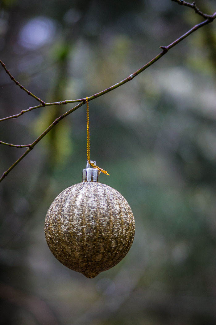 Larch Mountain trail and Christmas Trail