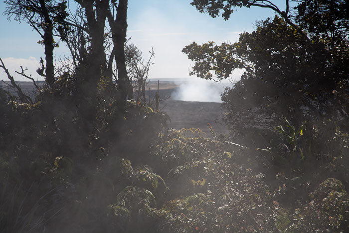 Hawaii Volcanos National Park