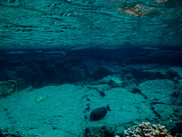 Waiopae Kapoho tide pools