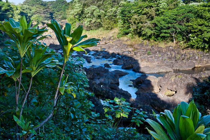 North Kohala, Hāmākua,Hāmākua, North Hilo Districts North Kohala, Hāmākua,Hāmākua, North Hilo Districts