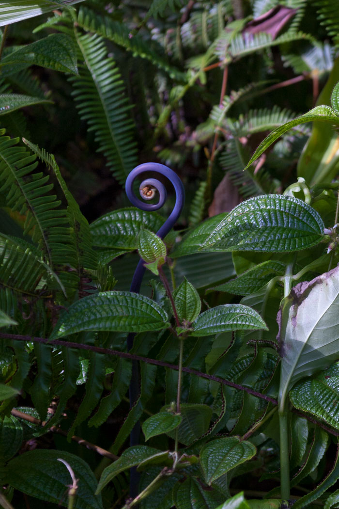 North Kohala, Hāmākua,Hāmākua, North Hilo Districts