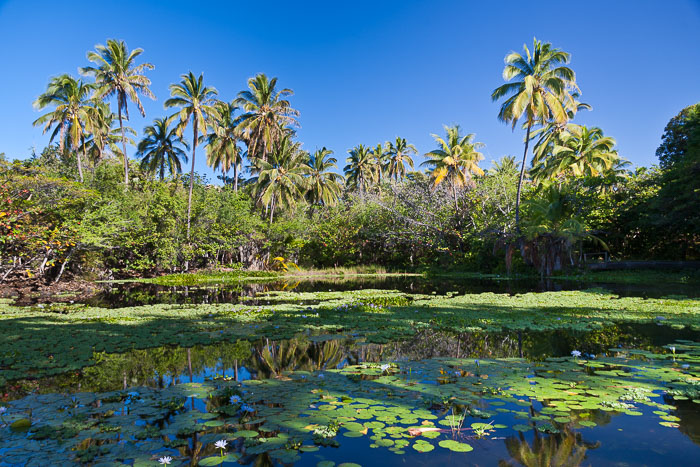 Punaluu Black Sand Beach
