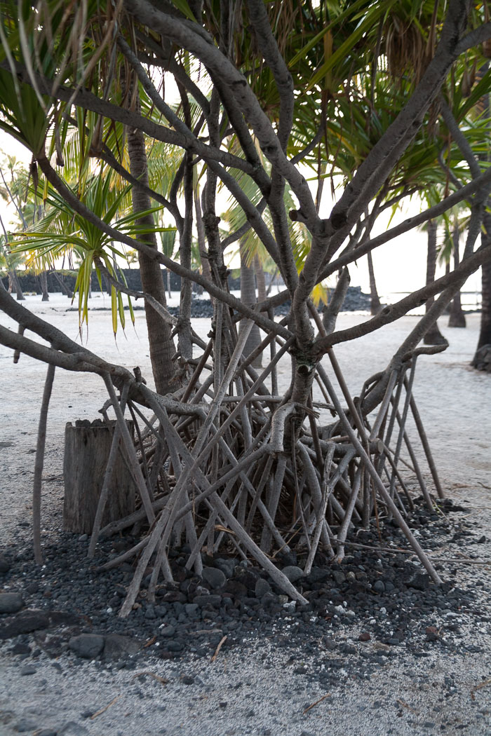 Puʻuhonua o Hōnaunau