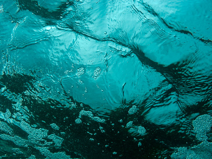 Richardson’s Ocean Park