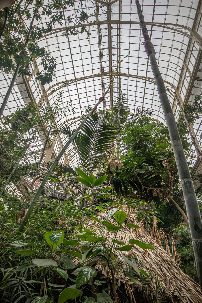 National Botanic Gardens